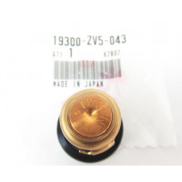 Thermostat d&#039;Origine Honda 130CV 4T