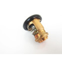 Thermostat d'Origine Honda BF35