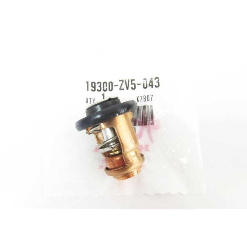 Thermostat d'Origine Honda 30CV 4T