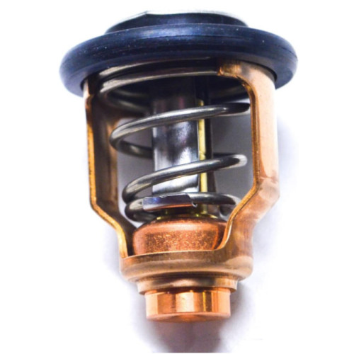 Thermostat Suzuki DF140