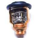 Thermostat Suzuki DF175