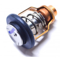 Thermostat Suzuki DF250