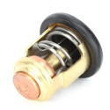 Thermostat Honda BF35 72°C