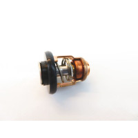 Thermostat Yamaha F30