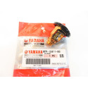 Kit Entretien Yamaha F100F